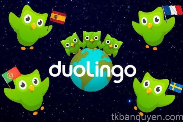 Mua tài khoản Duolingo giá rẻ, học ngoại ngữ tiết kiệm, hiệu quả 5 tài khoản Duolingo giá rẻ
