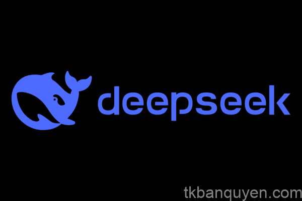 DeepSeek AI là gì?