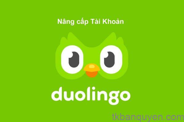 Tài Khoản Duolingo Giá Rẻ