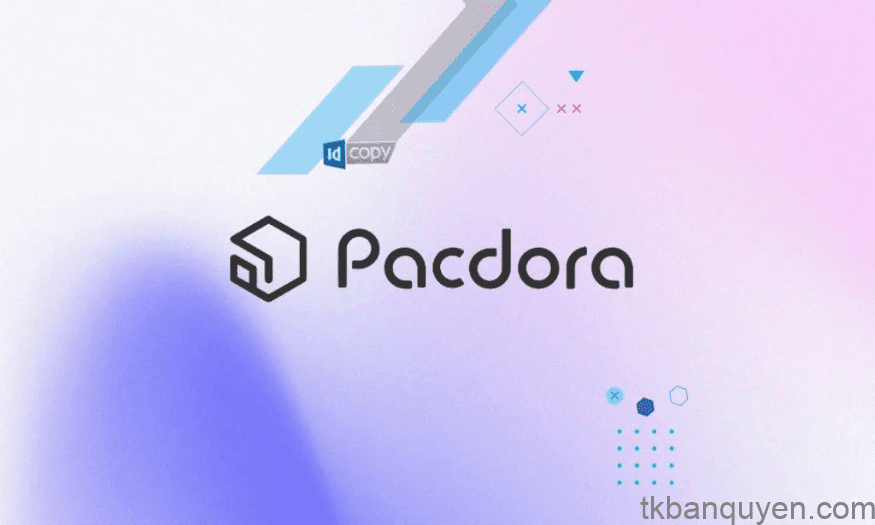 Mua tài khoản Pacdora Pro chính hãng 1 Địa chỉ mua Pacdora Pro