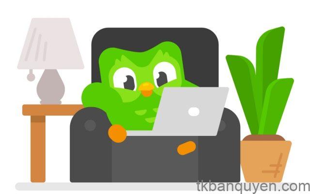 Giá Duolingo Super 2025