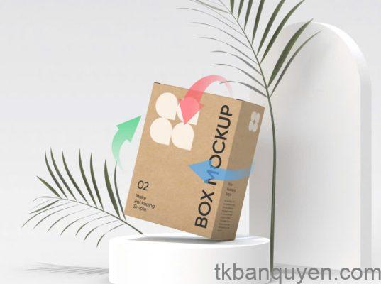 pacdora co tot khong Pacdora Pro là gì