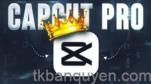 tài khoản CapCut Pro chính chủ tài khoản CapCut Pro chính chủ