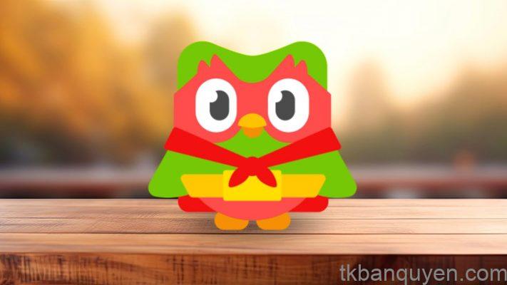 Học Duolingo không cần app