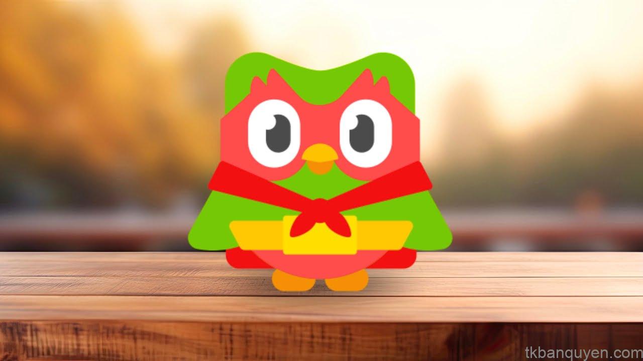 Học Duolingo không cần app