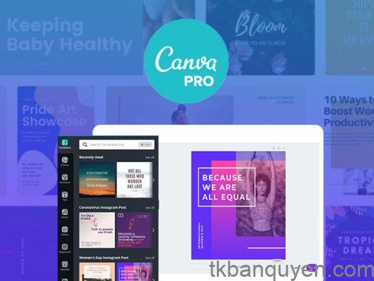 Sử dụng Canva Pro trên nhiều thiết bị