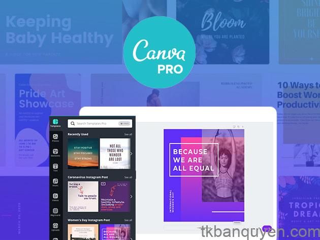 Sử dụng Canva Pro trên nhiều thiết bị