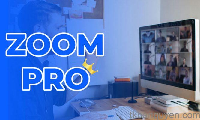 Zoom Pro giá bao nhiêu Zoom Pro giá bao nhiêu