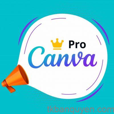 mua tài khoản Canva Pro uy tín